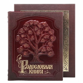 Родословная книга" Изысканная" с росписью в футляре (бумвинил с тиснением)