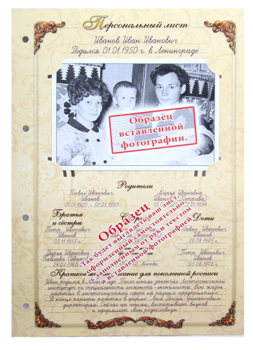 Родословная книга "Золотая" в подарочной коробке